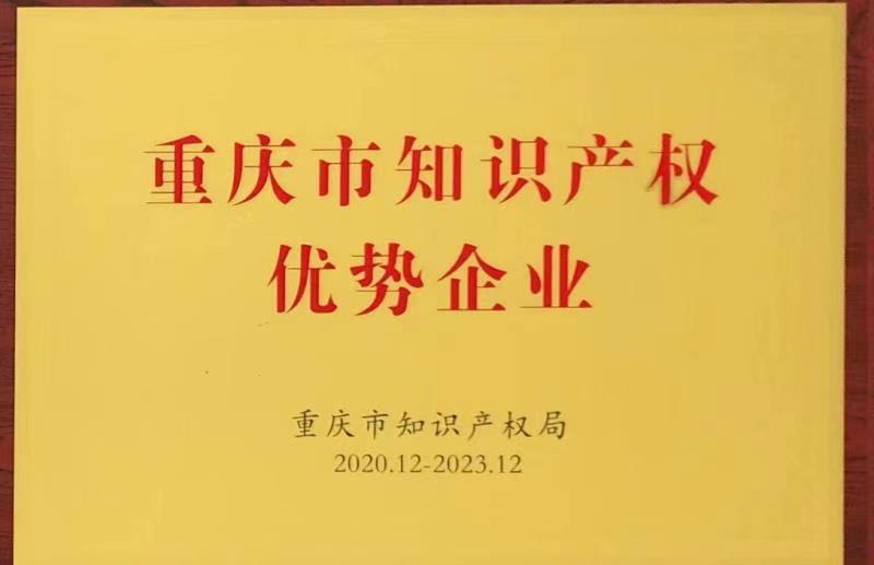 知識產(chǎn)權優(yōu)勢企業(yè)